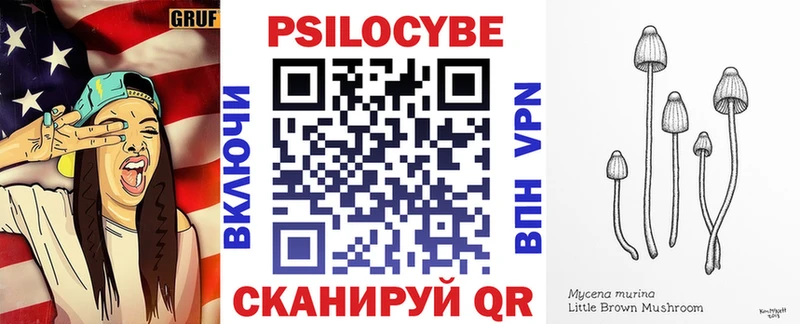 Галлюциногенные грибы Cubensis  Георгиевск 